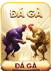 da-ga-okfun